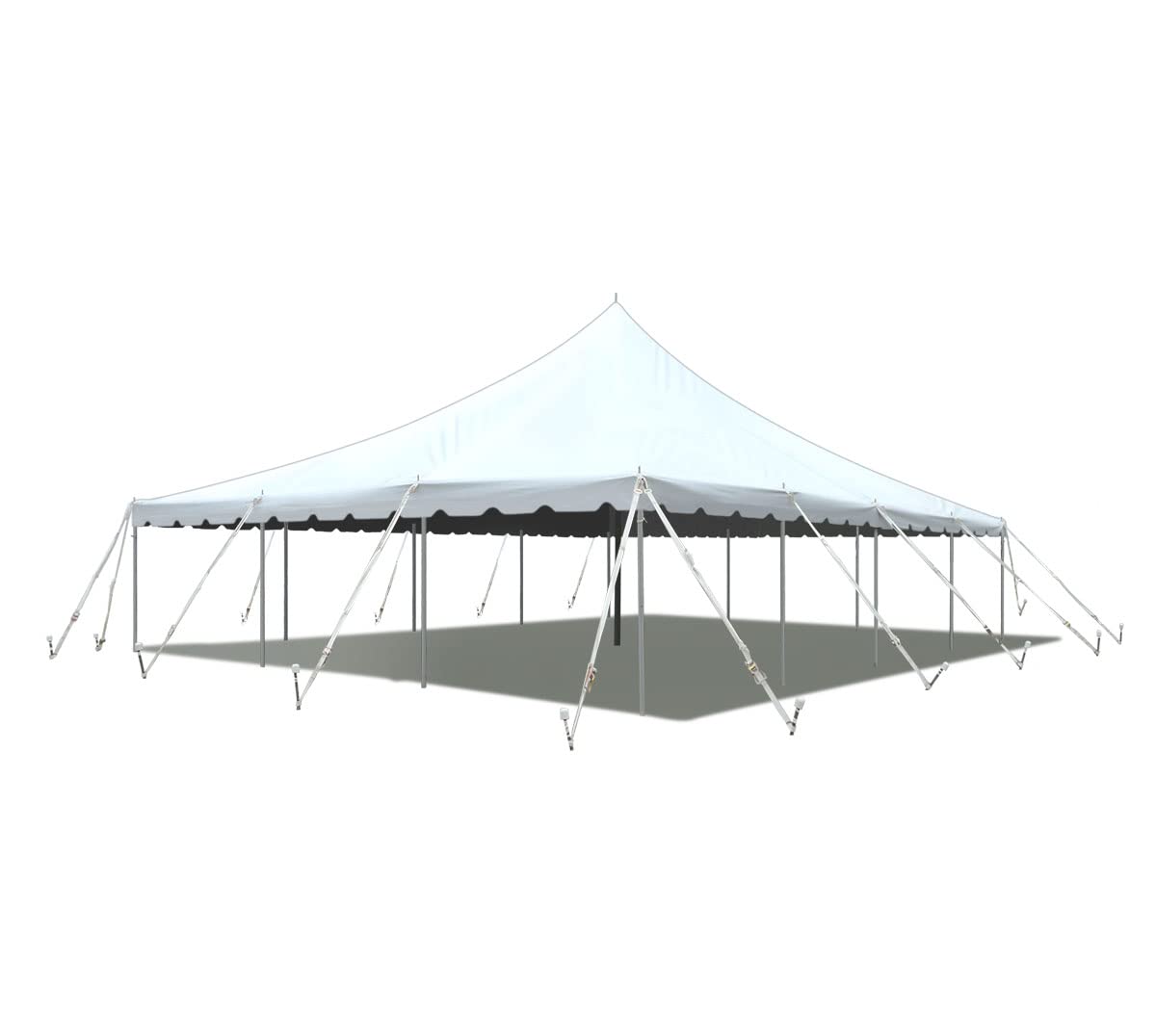 Carpa 20x40-100