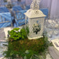 Centerpiece